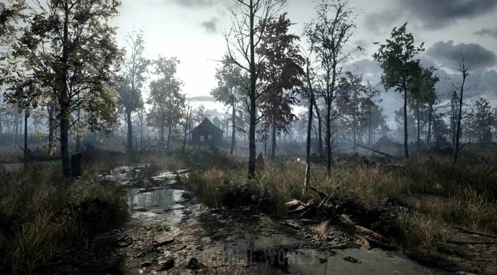 Аномалии в рыжем лесу сталкер. Рыжий лес сталкер аномали. Stalker 2 4k. Рыжий лес сталкер фон. K.