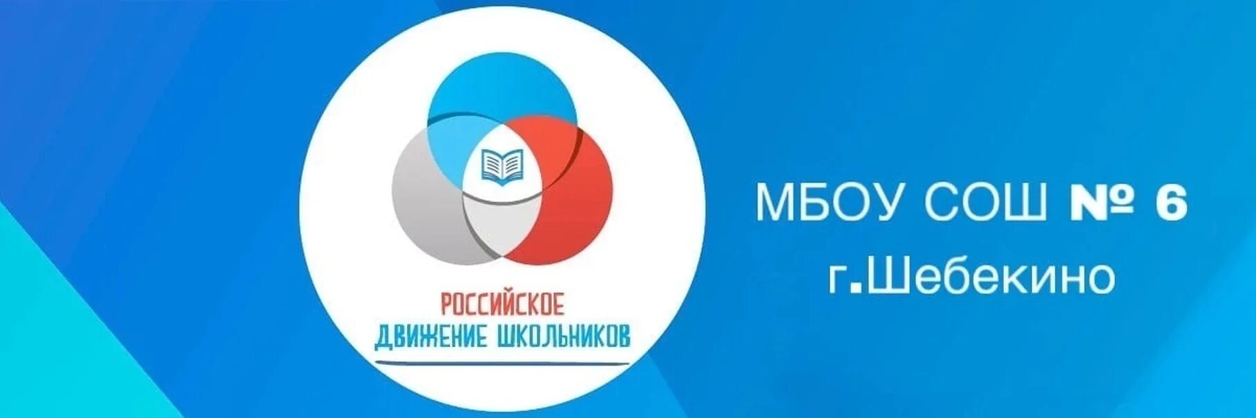 Рдш картинки. 23 февраля рдш. Атрибутика рдш. Слоган рдш. Российское движение школьников.