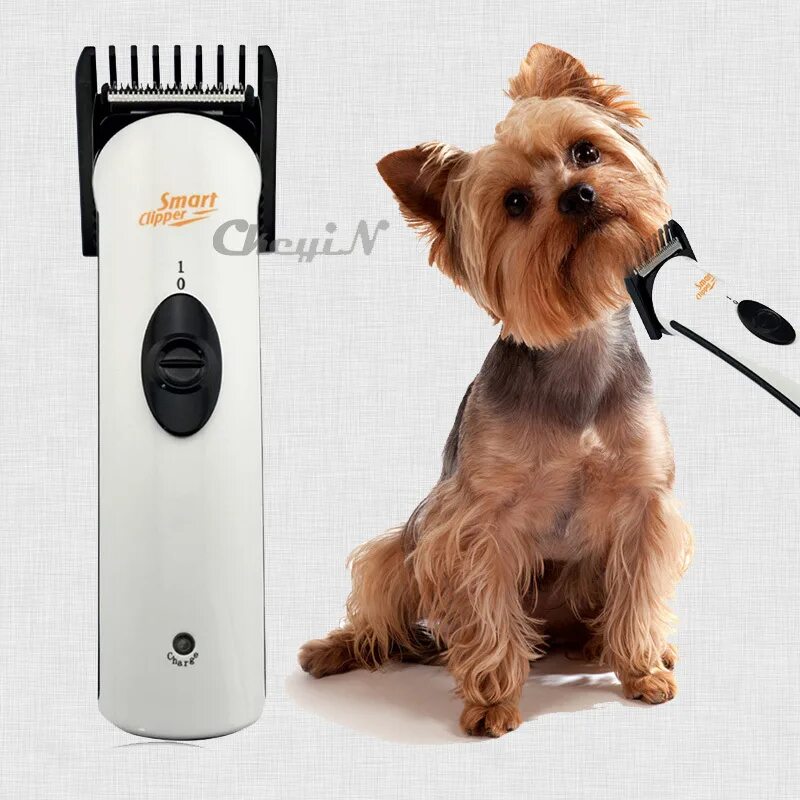 триммер для стрижки собак алиэкспресс. машинка для стрижки животных cr1222. машинка для стрижки йорков. йорк стрижка машинкой. Tv-710 машинка для стрижки собак pet grooming hair clipper.