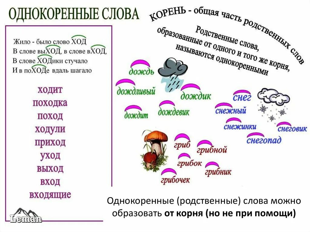 Выдели корень вода