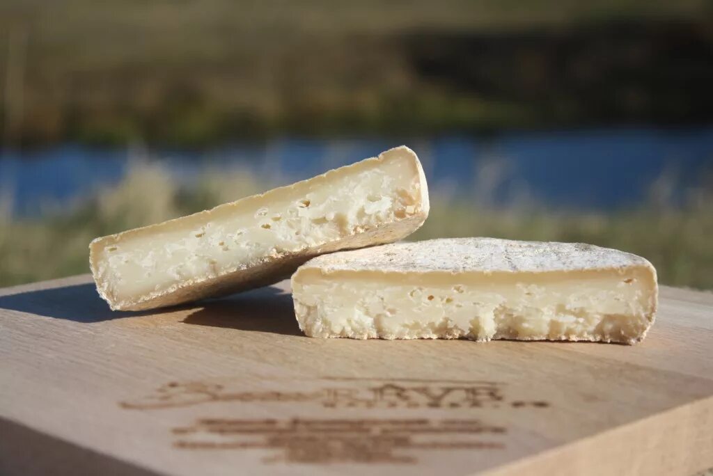 Сыр лес. Адыгейский сыр первый вкус. Адыгейский сыр первый вкус. Брыкин бор сыр. Сыр лес.