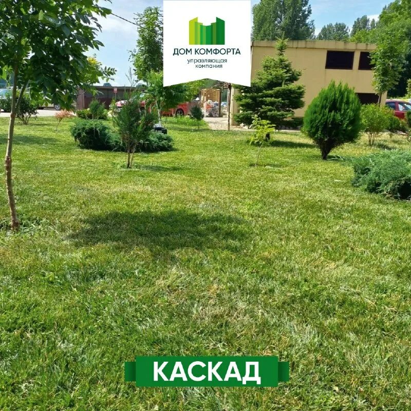 ул. анапа парковая 61/1. управляющая компания дом комфорта. станок горячего тиснения шпона мдф. ставропольский завод бытовой химии.