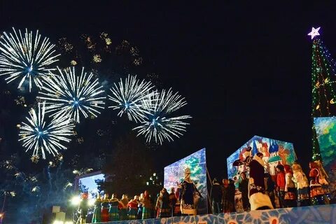 Амурская область новый год