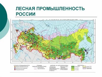 В каких городах лесная промышленность