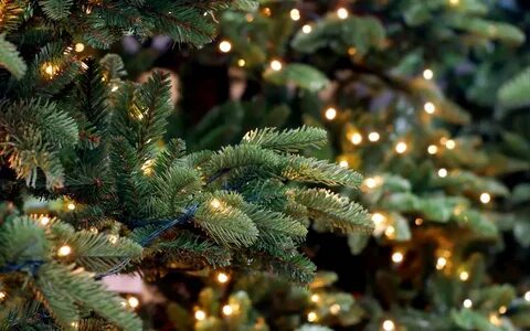 Ель christmas