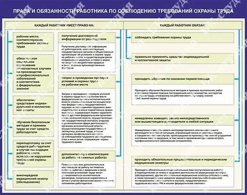 Ответственность работников по соблюдению требований охраны труда. Обязанности работника ведомственной охраны.