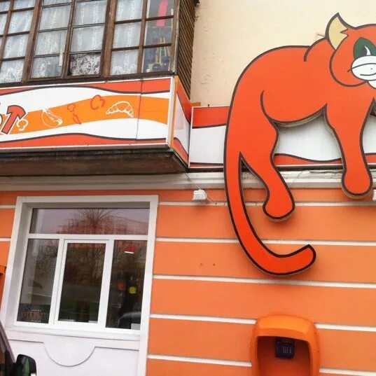 курск, улица 50 лет октября 126/1. кафе сытый кот. сытый кот кафе. кафе сытый кот. сытый кот кафе.