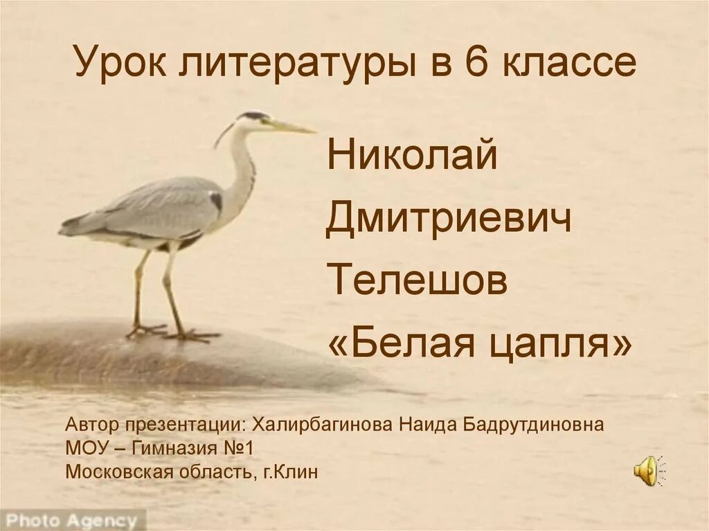 Белые цапли текст. Белые цапли текст