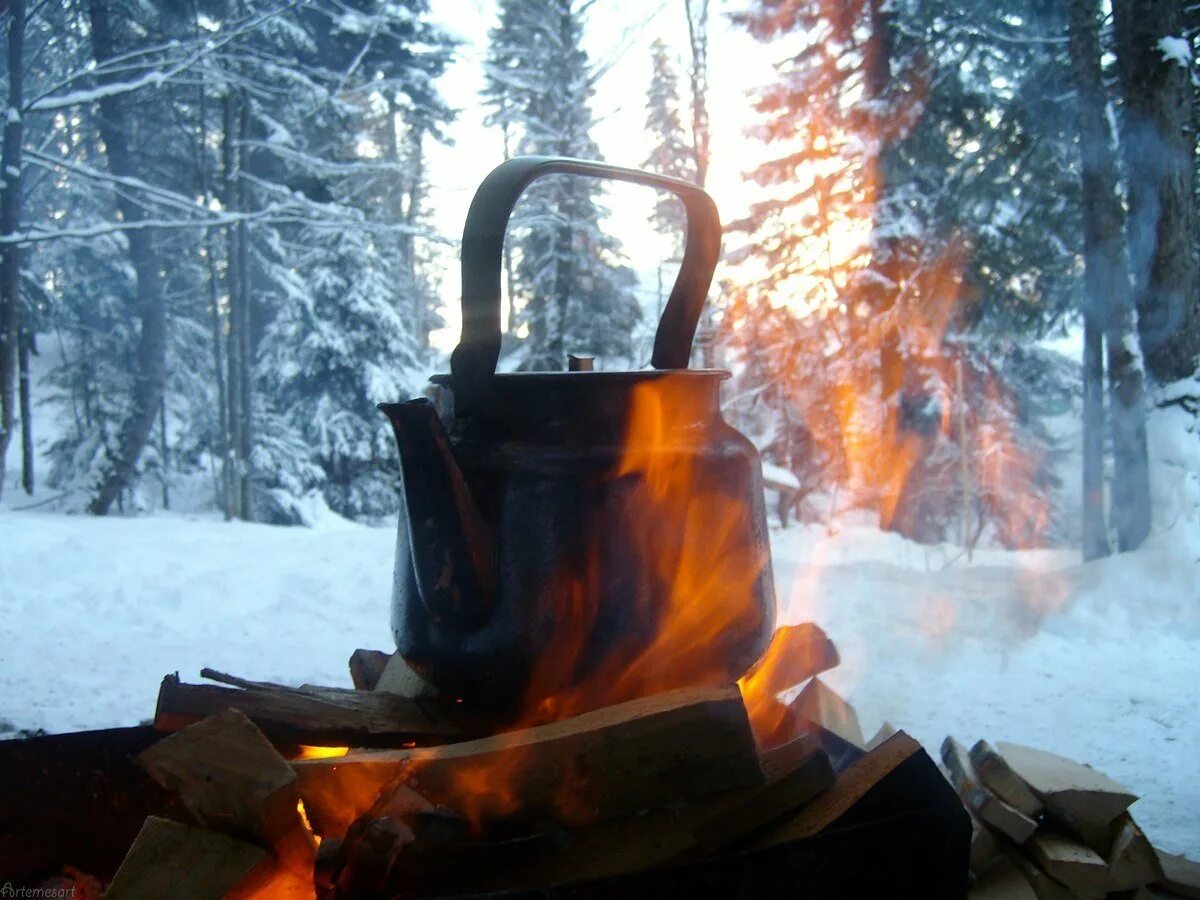 Кипящий двор. Чай зимой на природе. Чаепитие на природе зимой. Чай у костра зимой. Чай в лесу зимой.