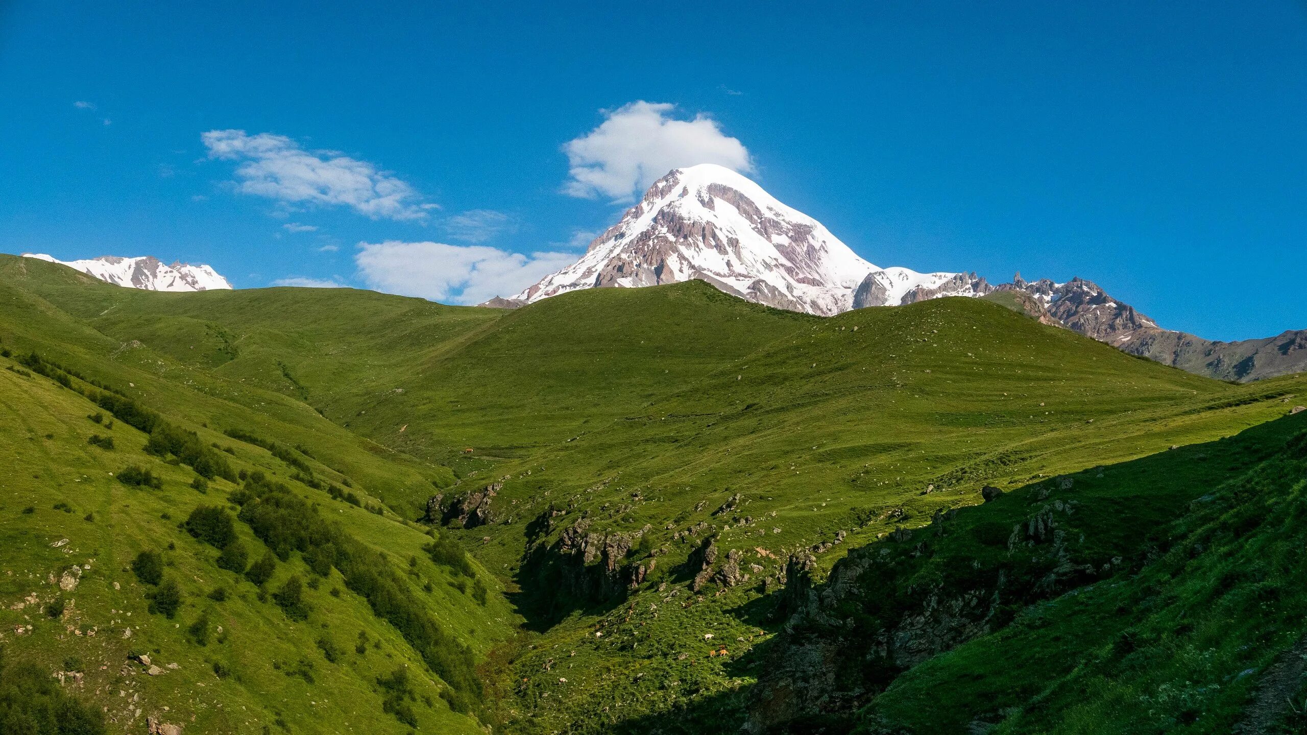 Кавказ самая высокая. Казбек кавказские горы. Казбек Грузия. Гора Казбек. Горы Кавказа Эльбрус и Казбек.