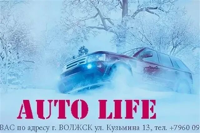 Лайв машина. Сто expo. Логотип avtolive. Live auto фото. Live auto.