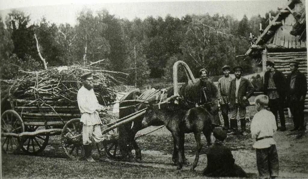 Вятка крестьяне 19 века. Крестьяне революция 1905 Самарская Губерния. Крестьяне 19 20 века в России. Крестьяне 20 века в Российской империи. Первые русские в крае