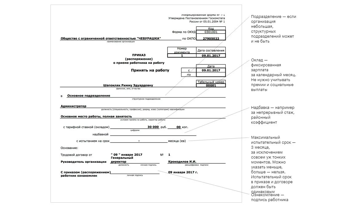 Приказ о приеме с испытательным сроком. Оформления приказа на работу ИП образец. Форма приказа о приеме на работу ИП. Пример приказа о приеме на работу ИП. Приказ о приеме работника на работу продавец.