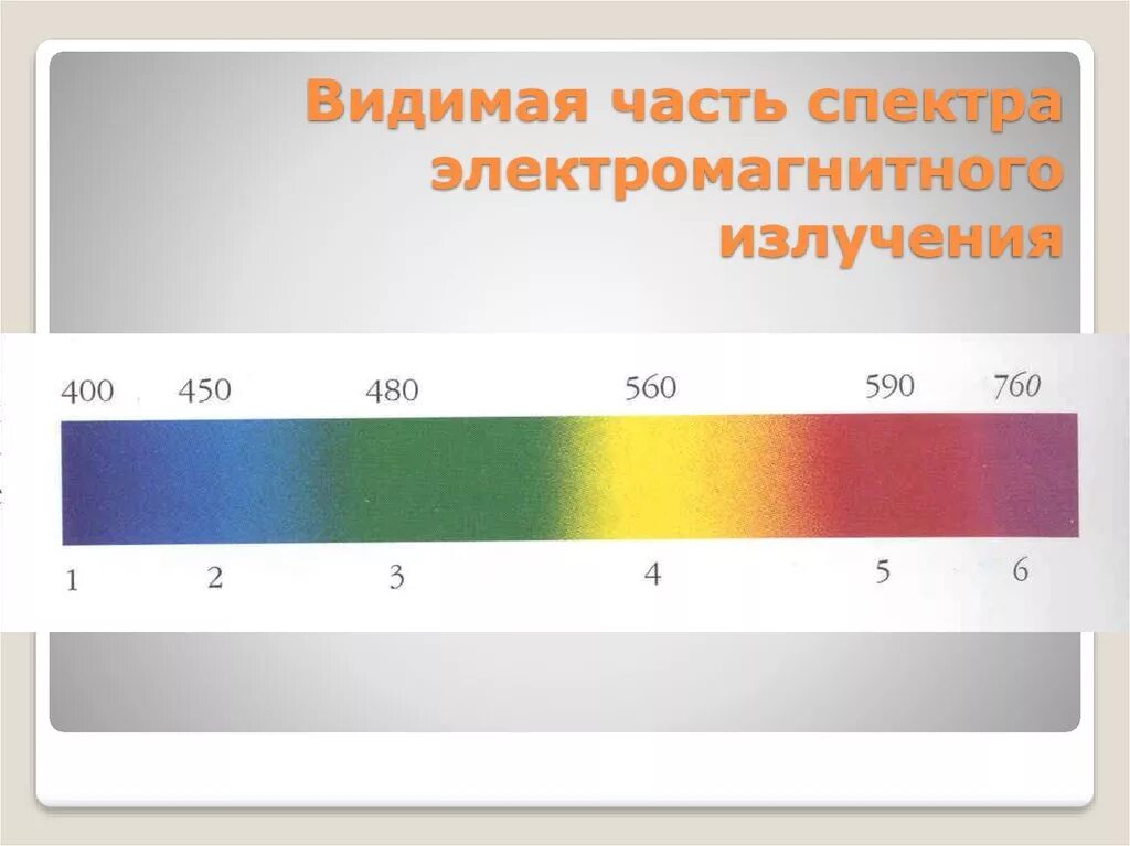 Видимая часть электромагнитного спектра