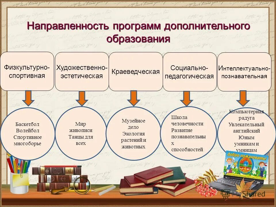 Направленность программ доп образования. Направленность программ доп образования