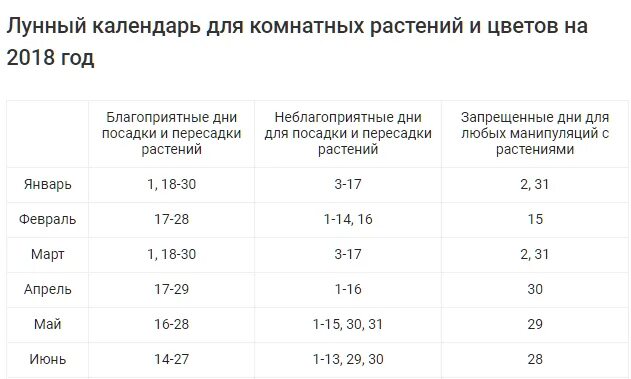 Пересадка комнатных растений в марте 2024г благоприятные