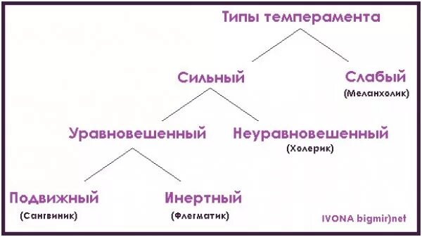 Установите соответствие тип темперамента. Виды темперамента. типы темперамента человека. темперамент типы темперамента. типы личности сангвиник.
