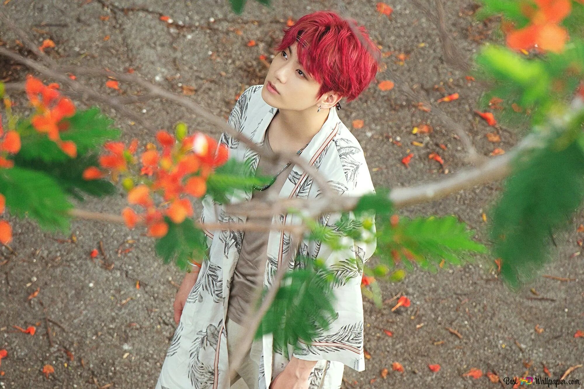 Бтс в лесу. Bts 2018 summer package in saipan чонгук. bts 2018 summer package in saipan чимин. чон чонгук 2018. саммер пэкидж бтс.