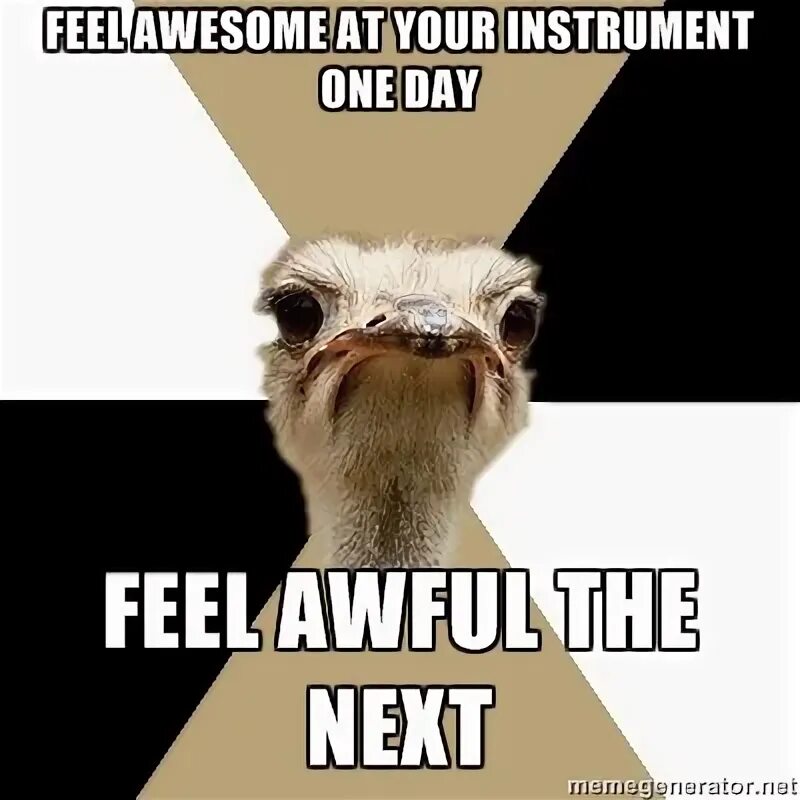 Can can't правило. I cannot this rule. I cannot this rule. Cannot can not. Can или can't.