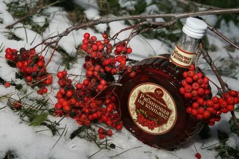 Настойка из рябины