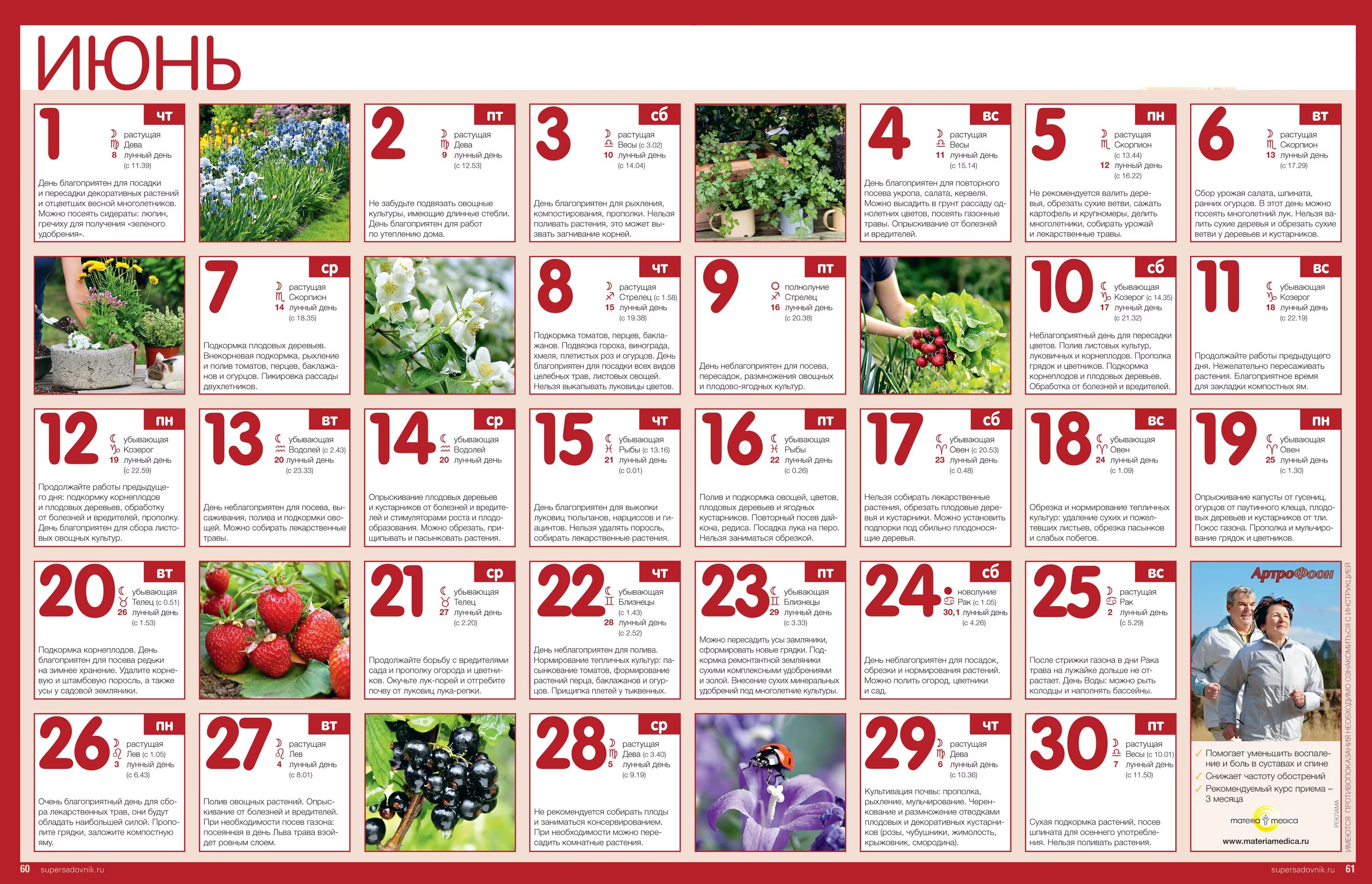 1 2 июня 2017. Календарь садовода. Лунный посевной календарь. Лунный календарь садовода. Календарь садовода на июнь.
