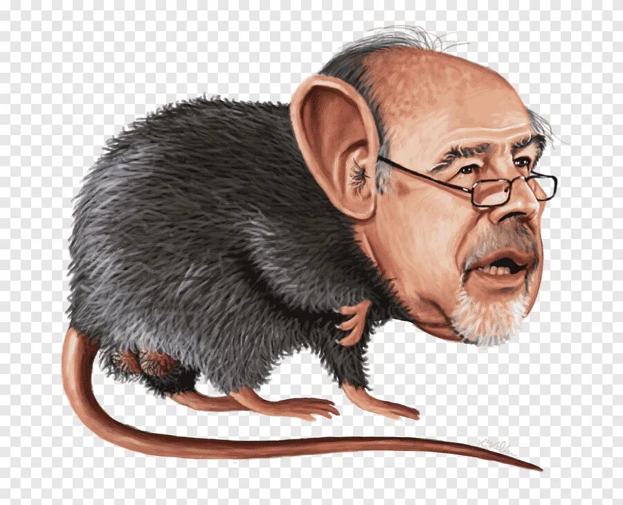 Мужчина крыса. Криса муш. Карикатурные крысы. Крыса карикатура. Крыса в очках.