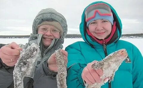 Погода мурманск верхнетуломский