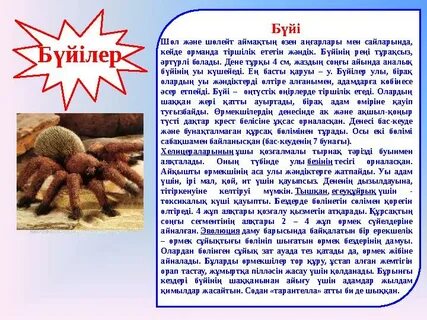 Қожайын мен құлдардың порно видеосы