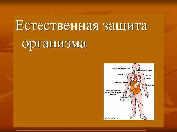 Защита организма. Естественные системы защиты человека. Система защиты организма. Естественные системы обеспечения защиты организма человека. Химическая защита организма