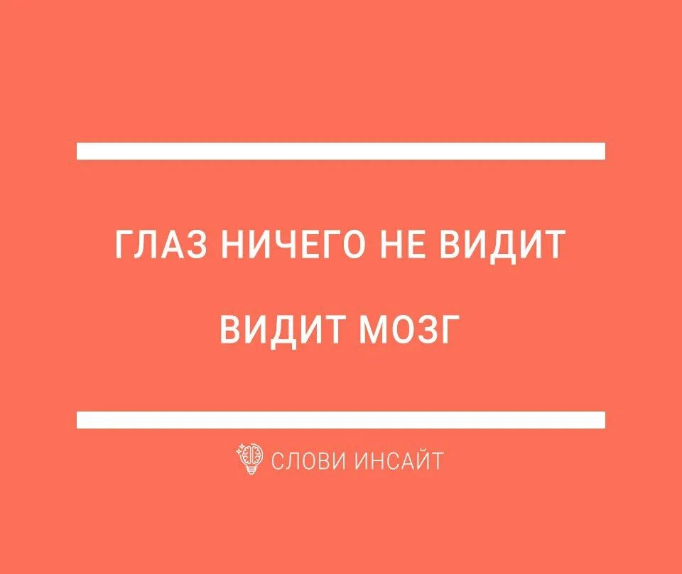 Глаза а мозг видит