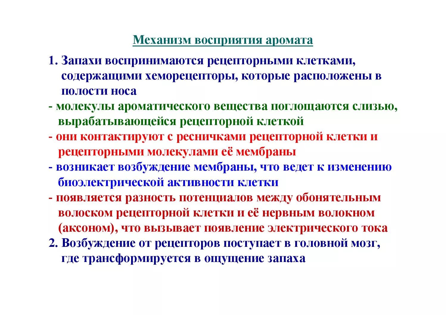 В какой момент человек воспринимает запахи. Механизм восприятия запахов. Классификация запахов. Механизм восприятия.. Механизм восприятия запахов человека. Механизм восприятия запахов физиология.