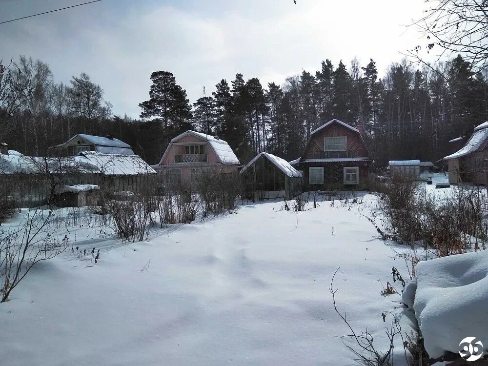 Снт борок великие луки. Снт борок. Снт борок архангельск. Снт борок. Дача каменники.