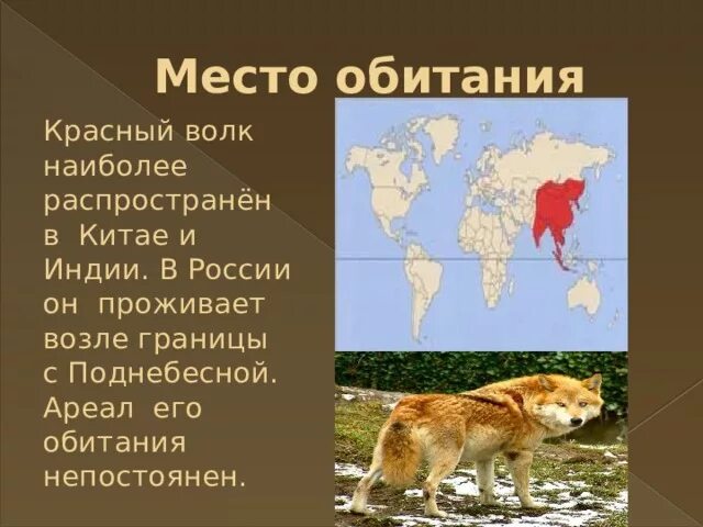 Полярный волк где находится на карте. Красный волк место обитания. Ареал красного волка. Ареал распространения красного волка. Ареал обитания красных Волков.