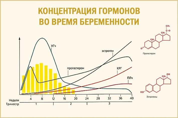 Выработка прогестерона. Уровень половых гормонов при беременности. График изменений гормонов в беременность. Как меняются гормоны при беременности. Динамика гормонов при беременности.