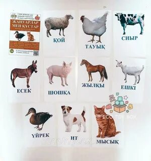 Рингтегі екі қыз жыныстық қатынасқа түскенше төбелеседі.