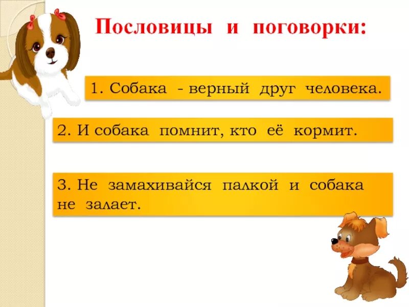 Значение пословицы собака друг человека. Пословицы и поговорки про собак. Поговорка на тему собака. Пословица про дружбу с собакой. Пословицы про собак.