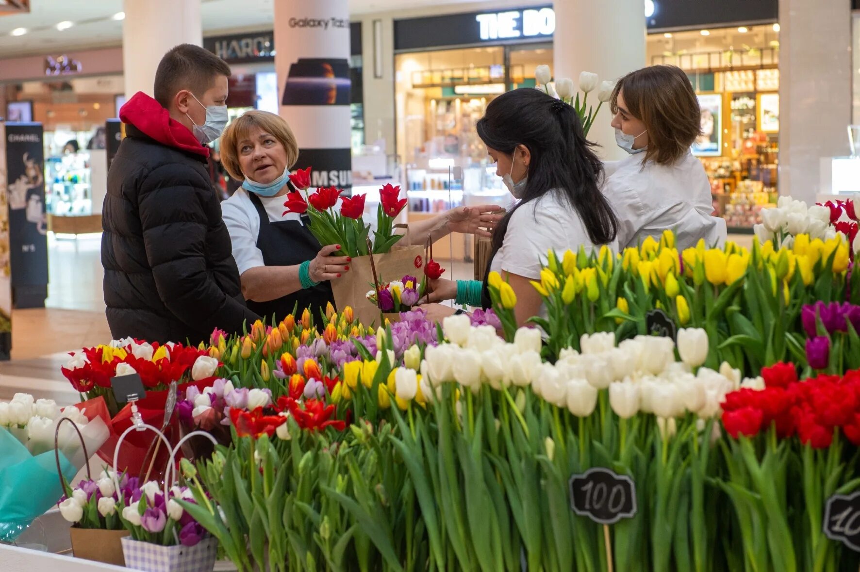 Где в москве будут раздавать цветы. Популярные цветы.