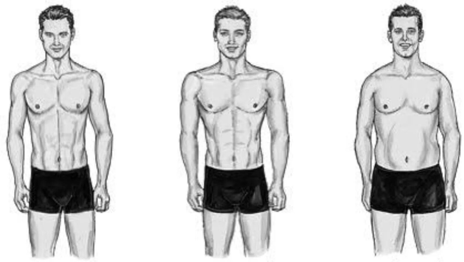 Виды мужской фигуры. Типы телосложения. Типы мужского телосложения. Типы строения тела мужчин. Типы фигур у мужчин.