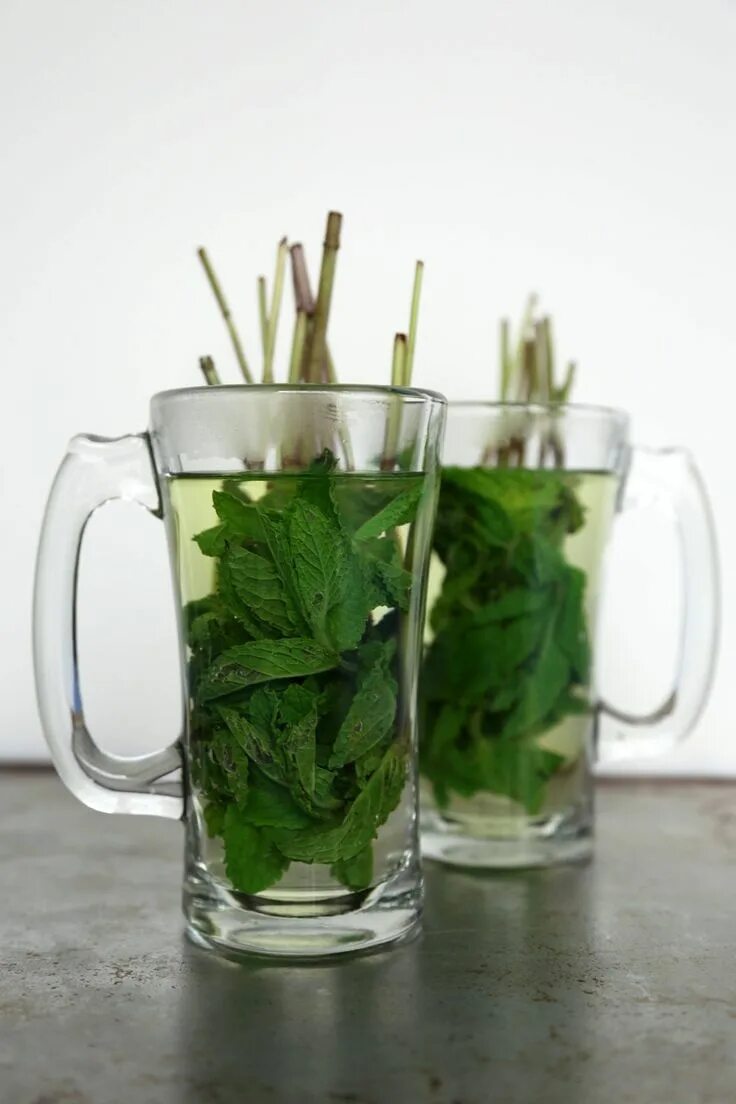 Мята трава чай. Чай с мятой. Чай с перечной мятой. Травяной чай с мятой. Зеленый чай с мятой.