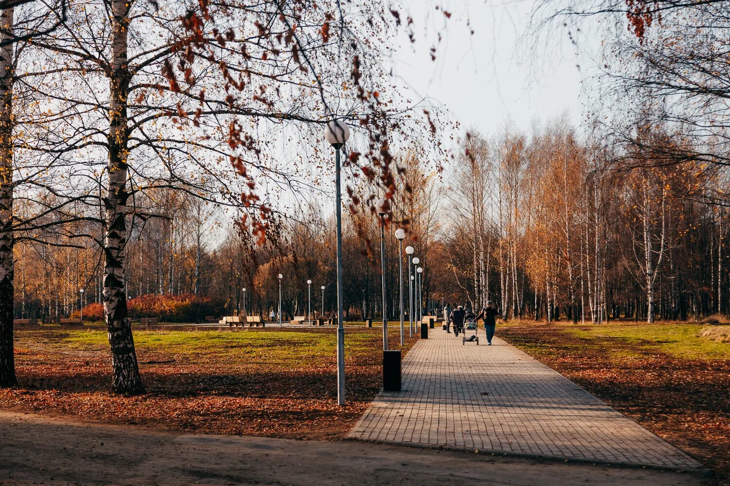 Парк Лосино Петровский. Никольский парк Лосино Петровский. Петровский парк сайт парка