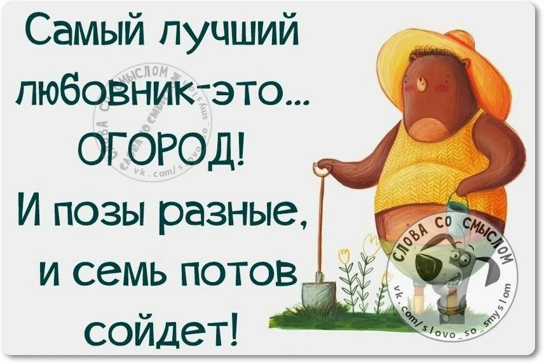 Цитаты со смыслом короткие с юмором. Слова со смыслом прикольные. афоризмы про жизнь смешные. цитаты со смыслом прикольные. смешные цитаты со смыслом.