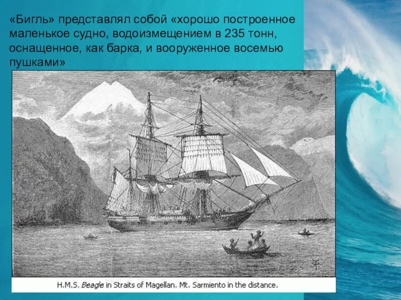 Кругосветное путешествие Чарльза Дарвина. Кругосветное путешествие Дарвина на корабле Бигль. Ч дарвин кругосветное путешествие