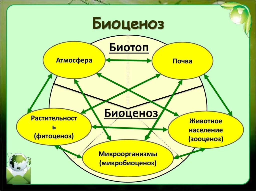 Биоценоз это в биологии. Растения и животные водоемов. Горизонтальная структура биоценоза. Биоценоз микроорганизмов. Биоценоз.