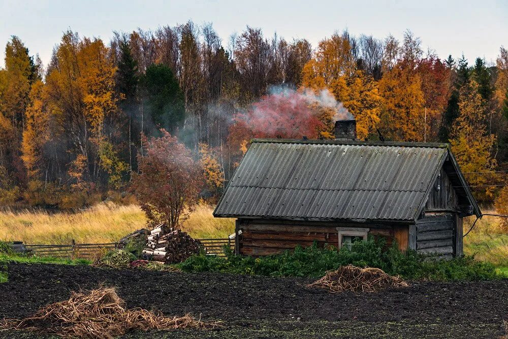 Кинерма деревня Карелия. Старинные деревни Карелии. Карельская деревня экскурсия. Русская деревня в Карелии.