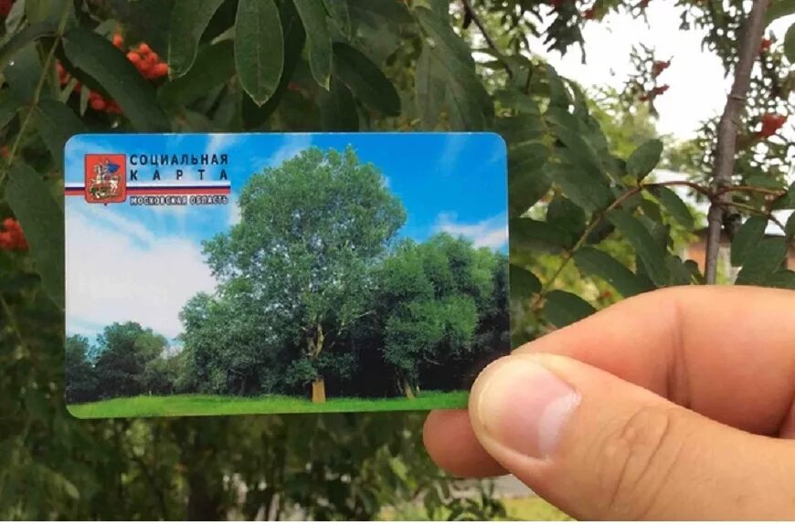 Социальная карта соцкарта московская область. Социальная карта московской области. Социальная карта жителя подмосковья. Социальная карта жителя мо. Карта жителя московской.