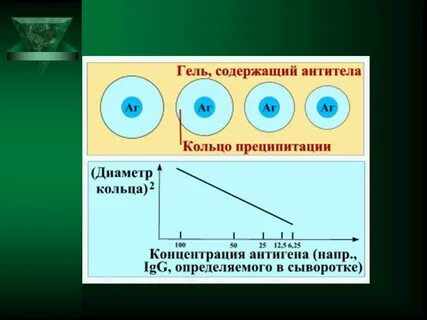 Двойная реакция