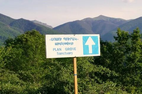 Роща тур