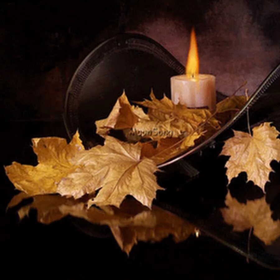 Тихо вечер догорает. Осенние листья и свечи. Последний вечер осени. Горящие листья. Свеча листва.