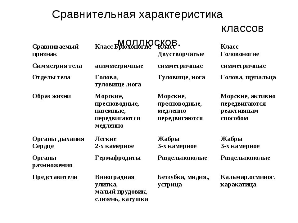 Сравнительная характеристика представителей типа моллюски таблица. Общая характеристика типа моллюски 7 класс биология таблица. Сравнительная характеристика классов моллюсков двустворчатые. Сравнительная характеристика моллюсков класс двустворчатые. Класс двустворчатые и головоногие