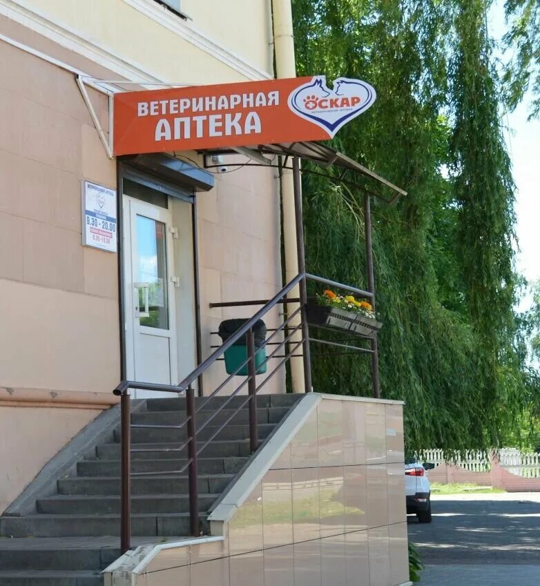 ветеринарная оскар. аптека 18 плюс. оскар ветаптека гомель. ветаптека в барнауле. ассортимент ветеринарной аптеки.